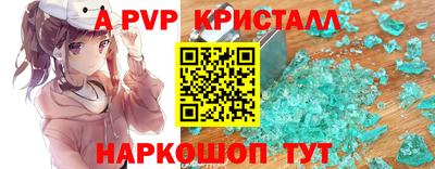 шишки Долгопрудный