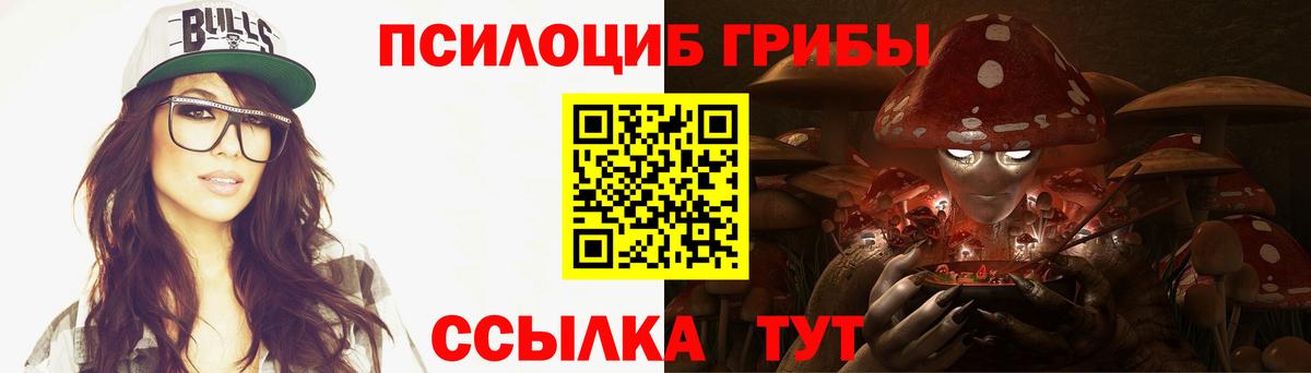 Новоалександровск  купить  цена  Вход с VPN  Галлюциногенные грибы ЛСД 